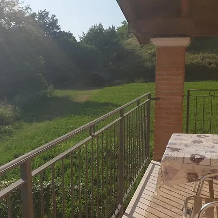 Il Rifugio Del Gatto Moro